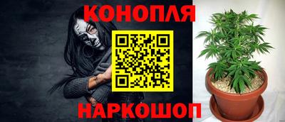 крисы Янаул