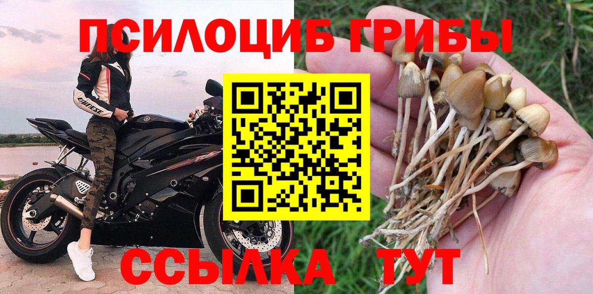 Ахтубинск  Галлюциногенные грибы Cubensis  Вход с VPN  Галлюциногенные грибы GOLDEN TEACHER 