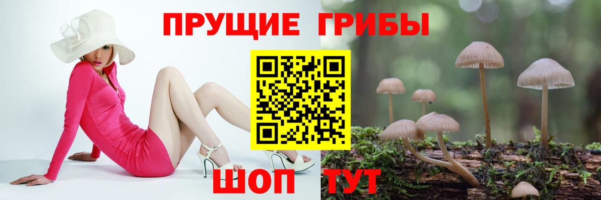 Псилоцибиновые грибы мицелий Ахтубинск